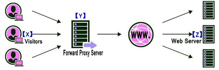 Forward Proxy server