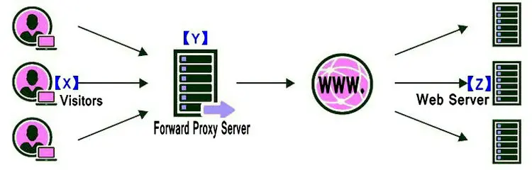 Forward Proxy server