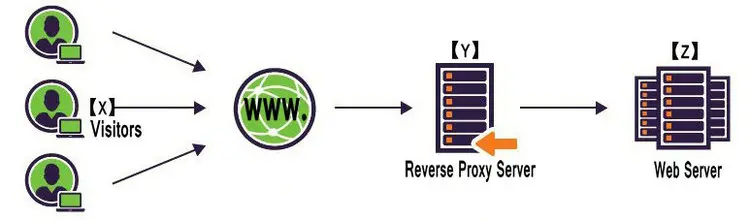 reverse proxy server