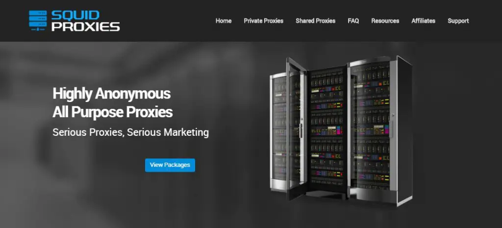 Squidproxies website homepage