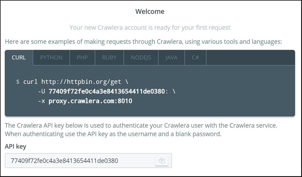 Crawlera API key features