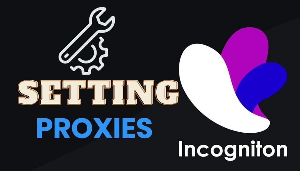 Step by step Proxy Settings in Incognition