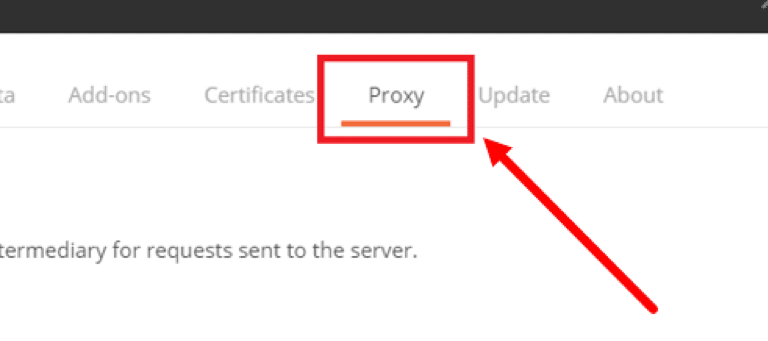 click on Proxy